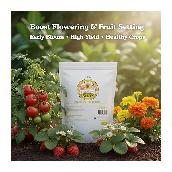 Trioxi Bloom Plus | Chemical Traders in UAE