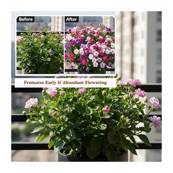 Trioxi Bloom Plus | Chemical Traders in UAE