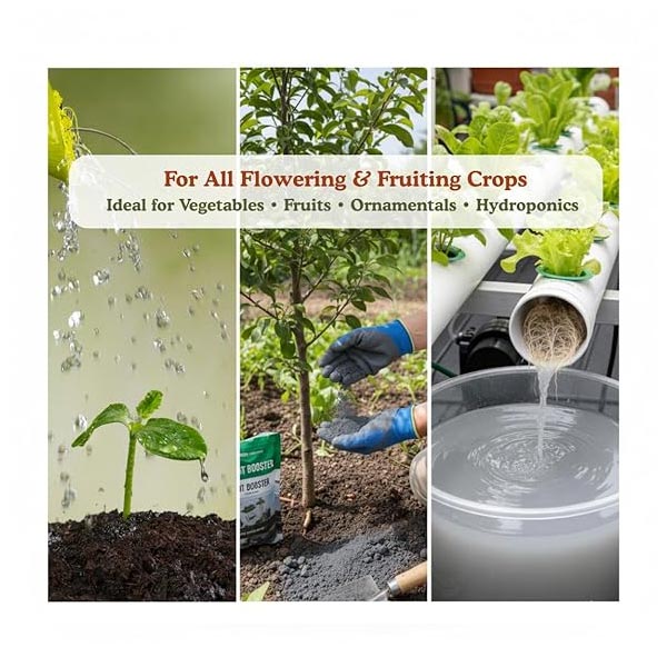 Trioxi Bloom Plus | Chemical Traders in UAE