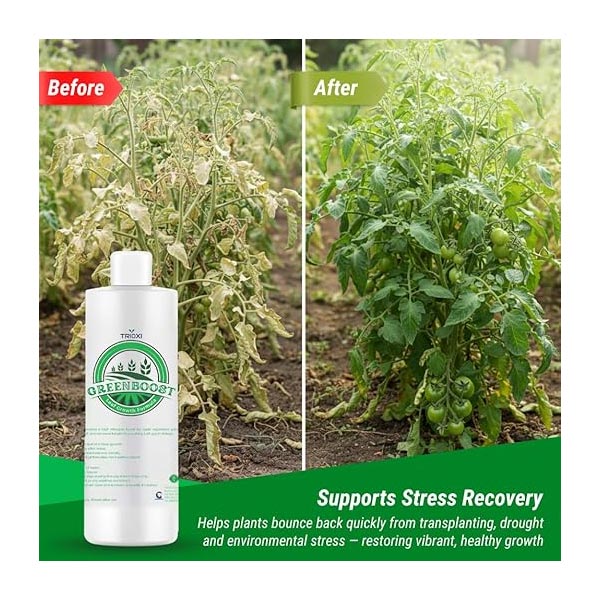 Trioxi GreenBoost | Chemical Traders in UAE