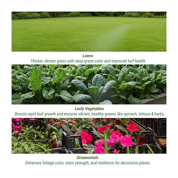 Trioxi GreenBoost | Chemical Traders in UAE