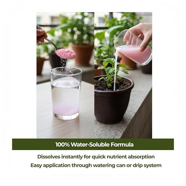 Trioxi GrowFast | Chemical Supplier in UAE