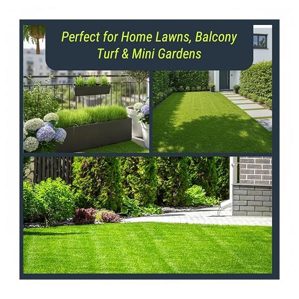 Trioxi LawnPro 1 Kg Dubai, Sharjah Abu Dhabi