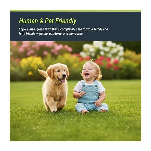 Trioxi LawnPro 1 Kg Dubai, Sharjah Abu Dhabi