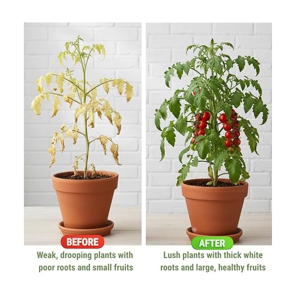 Trioxi Root Boost Liquid | Fertilizers in Dubai UAE