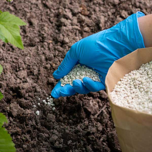 Agriculture & Fertilizer Toll Blending Chemical Supplier in Dubai UAE